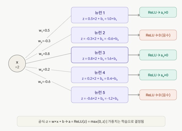 ▲ 뉴런 하나의 계산 — z = w·x + b → ReLU(z) = max(0, z)